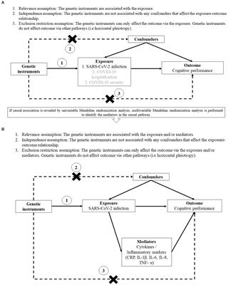 COVID-19 and cognitive performance: a Mendelian randomization study